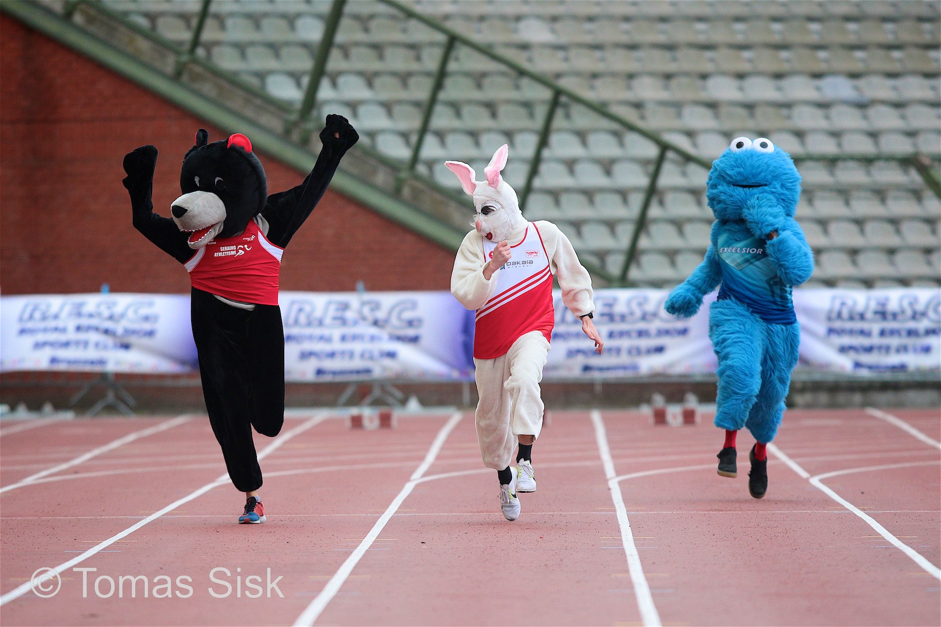 photo_mascottes_tomas_sisk.jpg